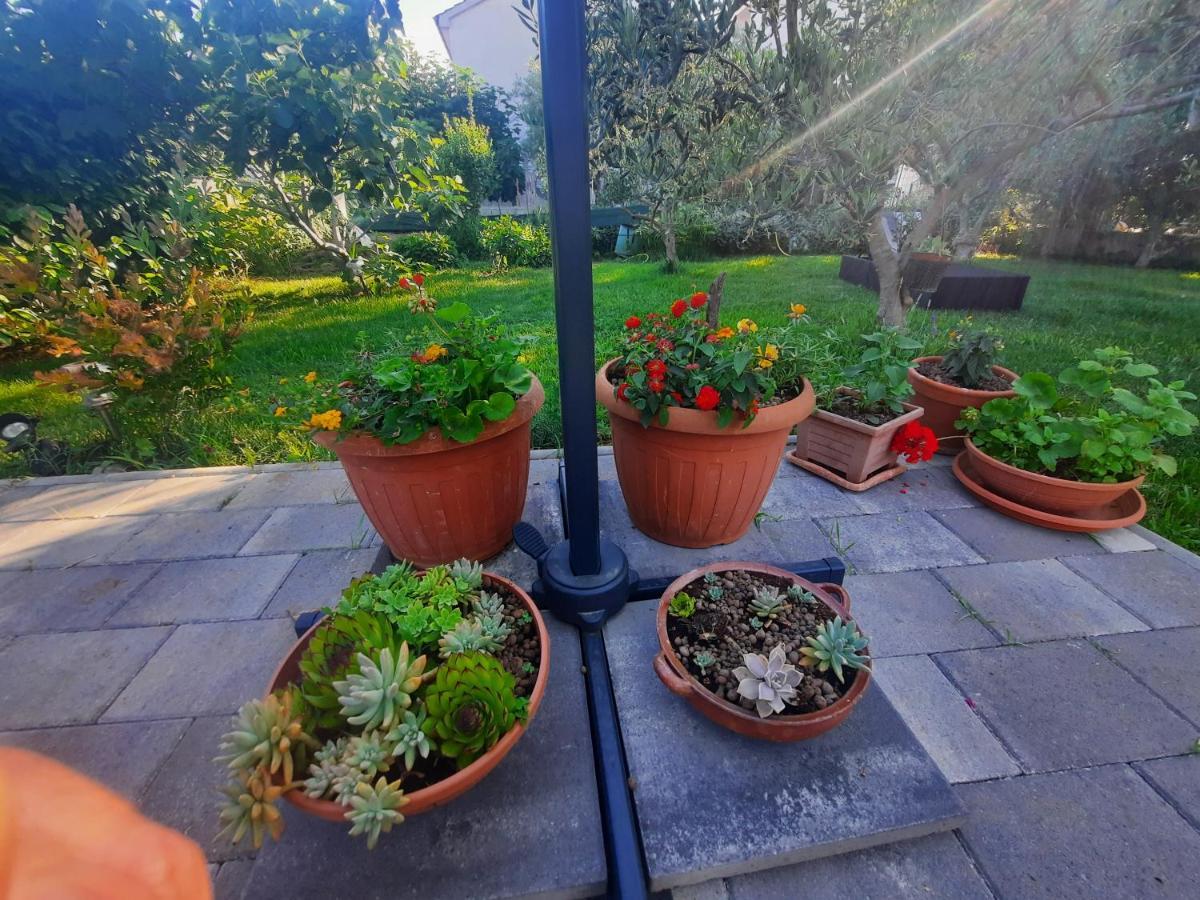 Apartment Noa'S Garden Bibinje Eksteriør bilde